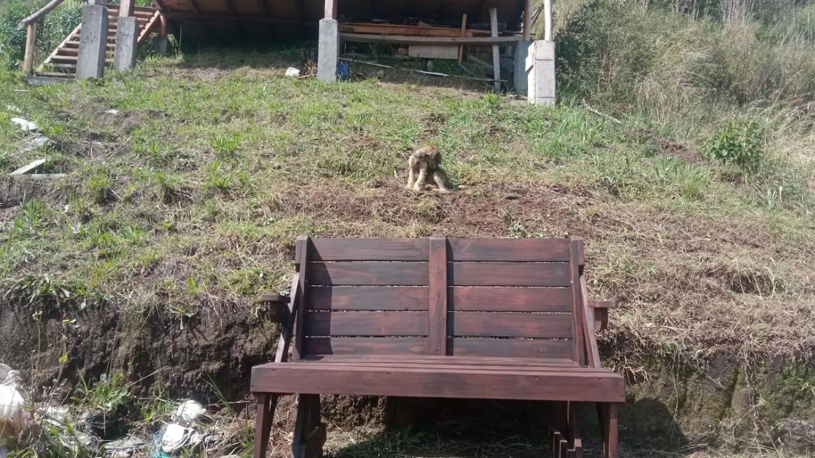 Lyxtält Picnic Del Ilalo Hotell Quito